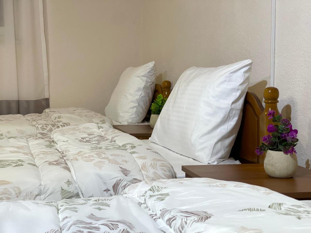 Shkodra Guest House & Trips 外观 照片